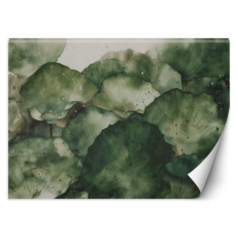 Fototapete - Grüne Lotosblätter | Feeby