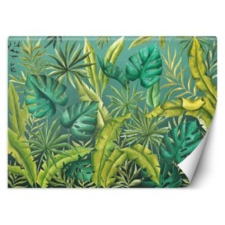 Fototapete - Monstera Blätter Pflanzen Grün | Feeby