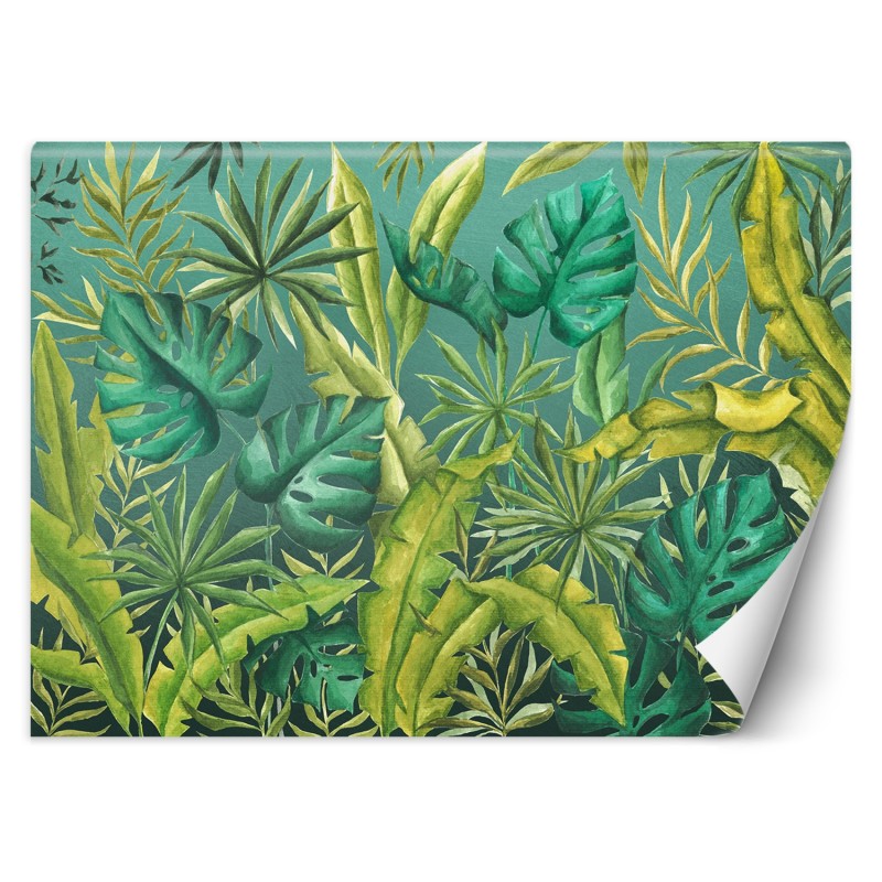 Fototapete - Monstera Blätter Pflanzen Grün | Feeby