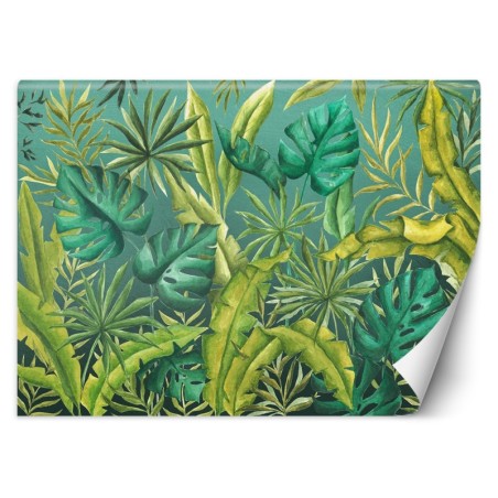 Fototapete - Monstera Blätter Pflanzen Grün | Feeby