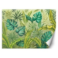 Fototapete - Monstera Blätter Pflanzen Grün | Feeby