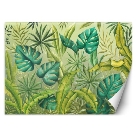 Egzotyczne fototapety na ścianę - Liście Monstera | FEEBY