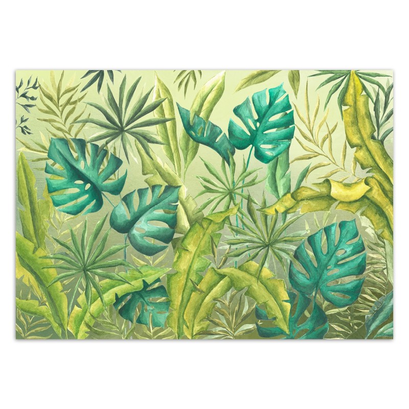 Fototapete - Monstera Blätter Pflanzen Grün | Feeby