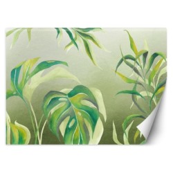 Moderne Fototapete - Monstera Blätter Pflanzen Grün | Feeby