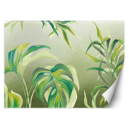 Moderne Fototapete - Monstera Blätter Pflanzen Grün | Feeby