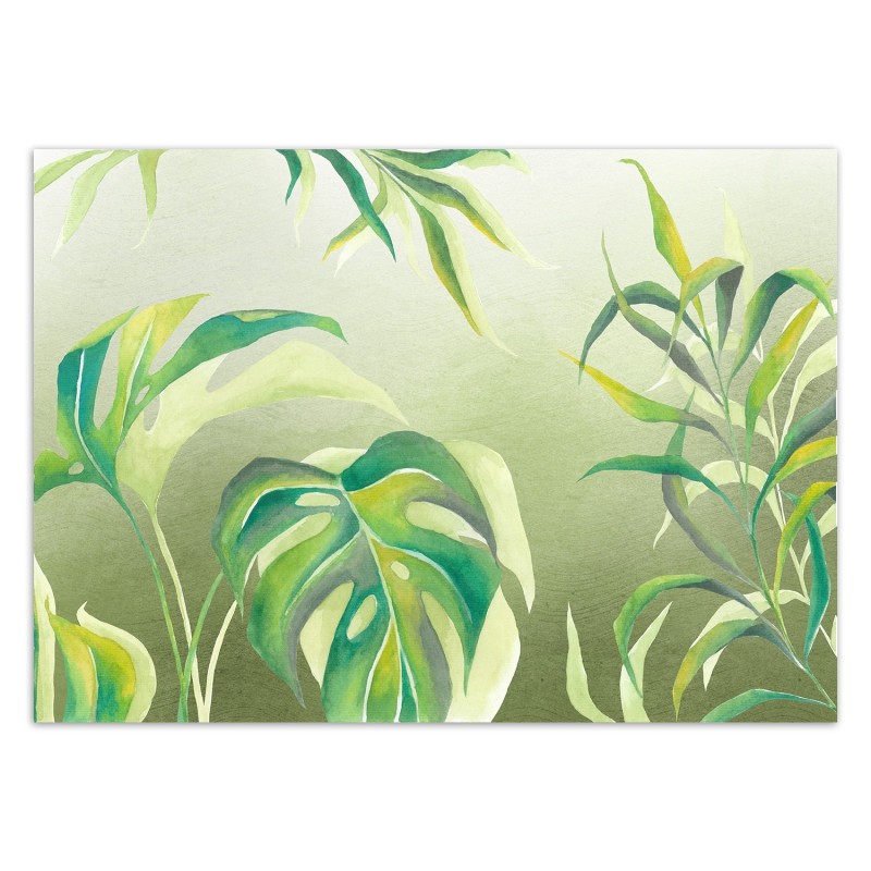 Moderne Fototapete - Monstera Blätter Pflanzen Grün | Feeby