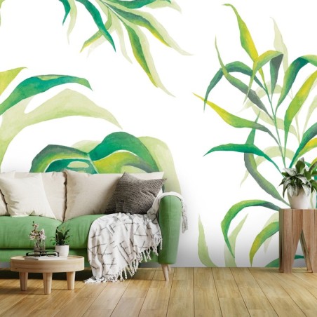 Fototapete - Monstera Blatt Pflanzen Grün | Feeby