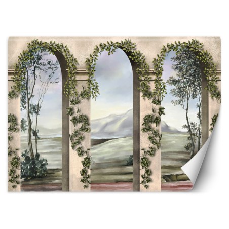 Fototapete - Säulen und Bögen mit Efeu | Feeby