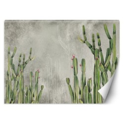 Fototapete - Grün Kaktus Blumen Betonoptik Grau | Feeby