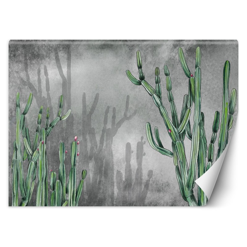 Fototapete - Atacama Cactus Betonwand Grau Grün | Feeby