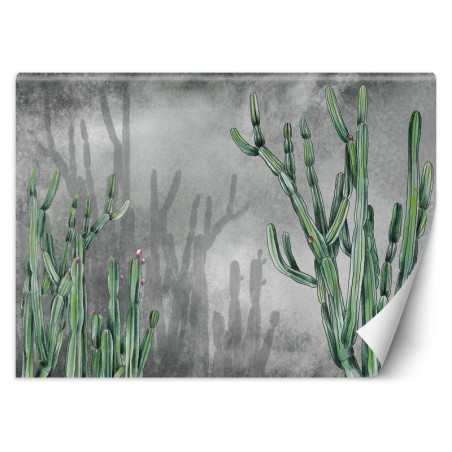 Fototapete - Atacama Cactus Betonwand Grau Grün | Feeby