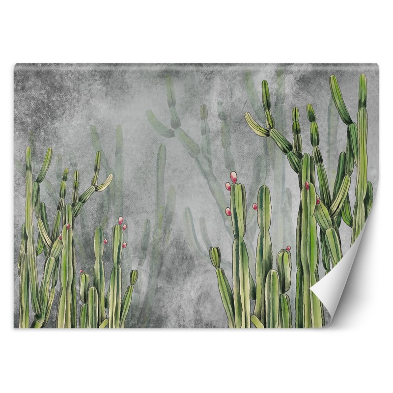 Fototapete - Caktus Blumen Pflanzen Betonwand | Feeby