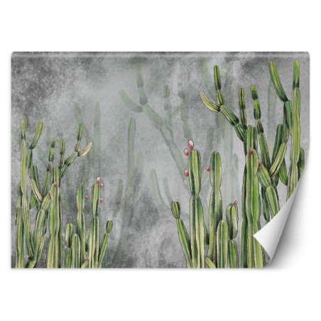 Fototapete - Caktus Blumen Pflanzen Betonwand | Feeby