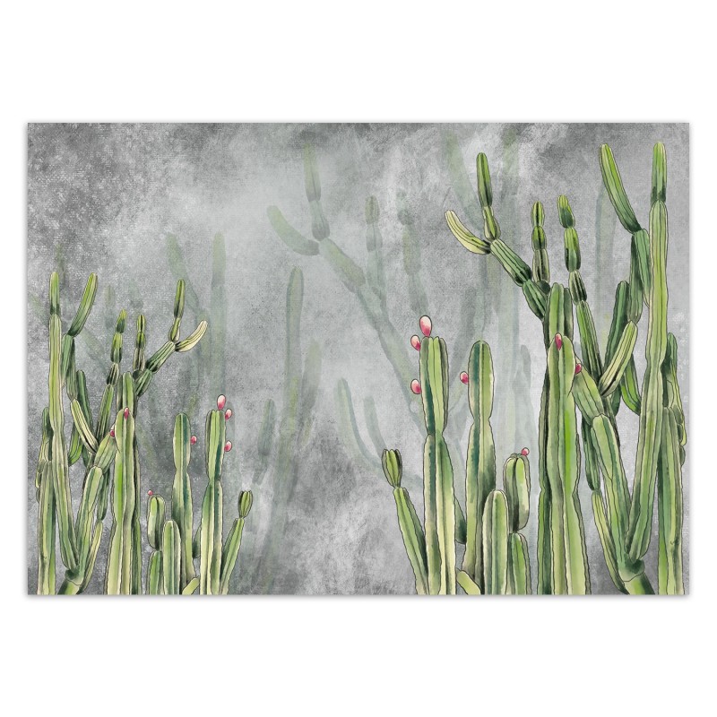 Fototapete - Caktus Blumen Pflanzen Betonwand | Feeby