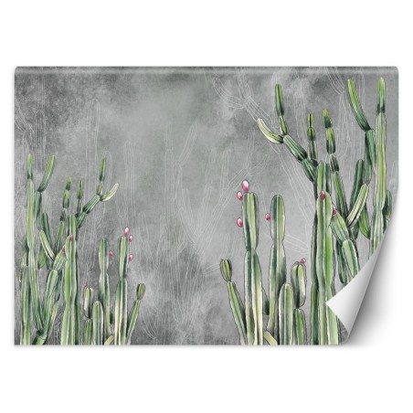 Modische Fototapete - Atacama Cactus Betonwand | Feeby