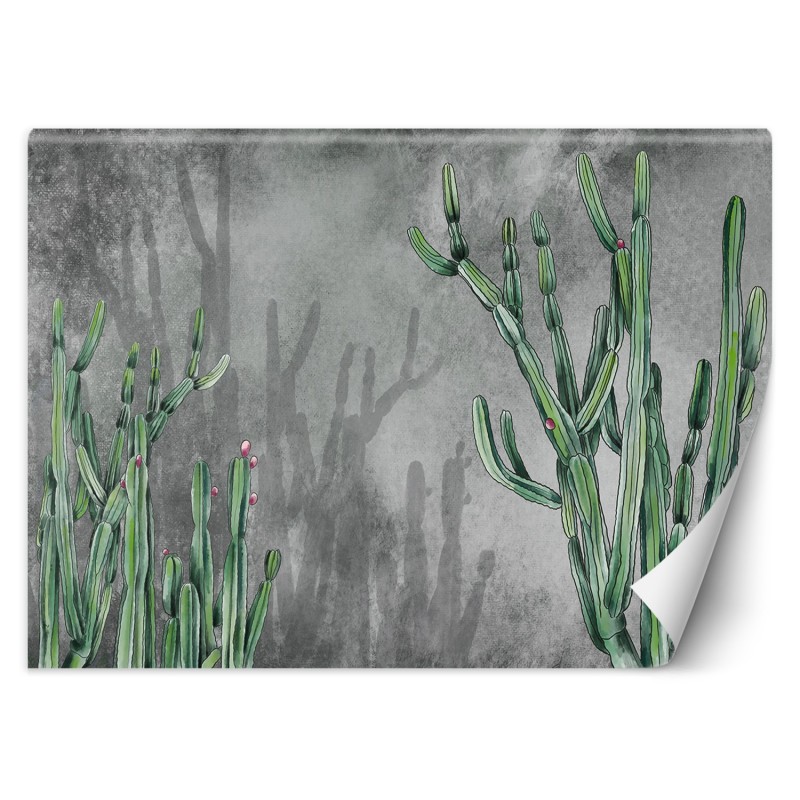 Stilvolle Fototapete - Kaktus Blumen Betonoptik | Feeby