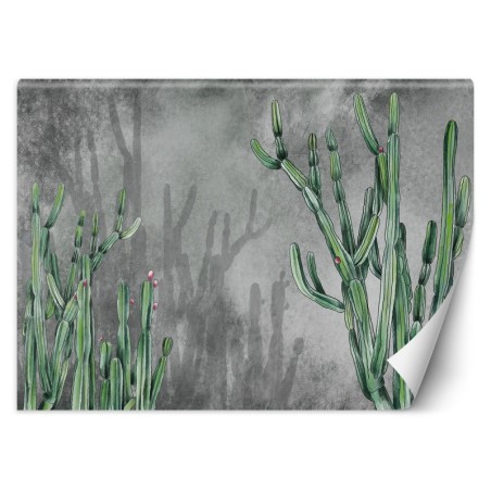 Stilvolle Fototapete - Kaktus Blumen Betonoptik | Feeby