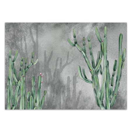 Stilvolle Fototapete - Kaktus Blumen Betonoptik | Feeby