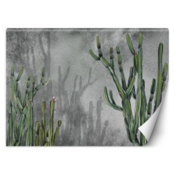 Fototapete - Wüstenkaktus | Feeby