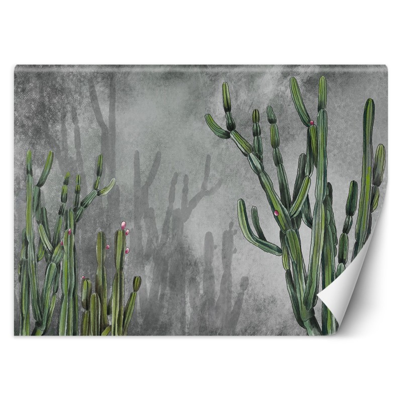 Fototapete - Wüstenkaktus | Feeby