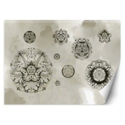 Fototapete - Beton Textur Geometrische Blumen Grau | Feeby