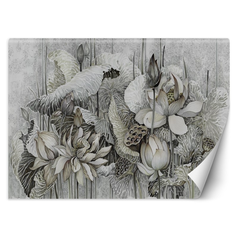 Fototapete - Lotus Blumen Natur Grau | Feeby