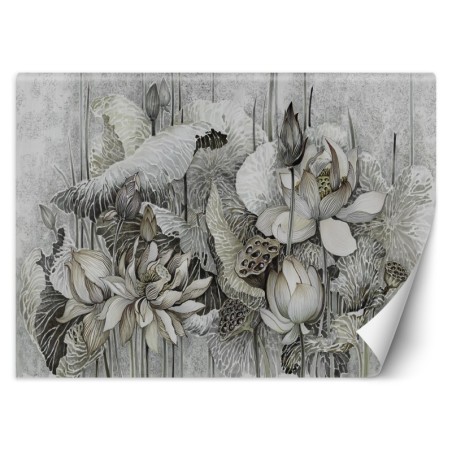 Fototapete - Lotus Blumen Natur Grau | Feeby