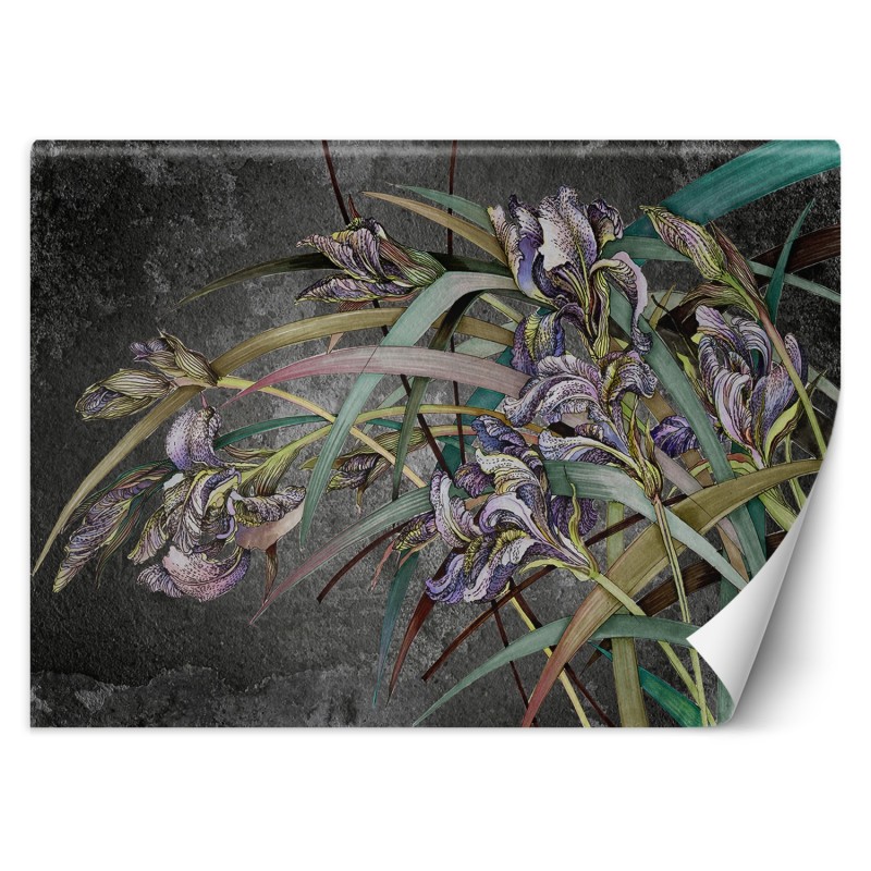 Moderne Fototapete - Narzissen Blumen Betontextur | Feeby