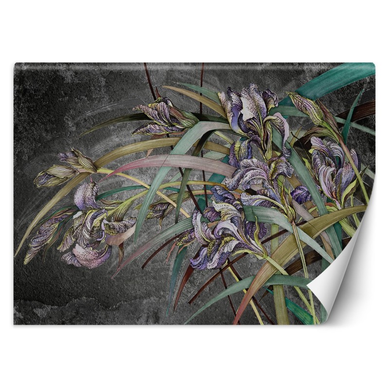 Modische Fototapete - Irises Blumen Beton Textur | Feeby