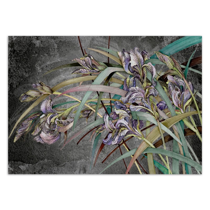 Modische Fototapete - Irises Blumen Beton Textur | Feeby