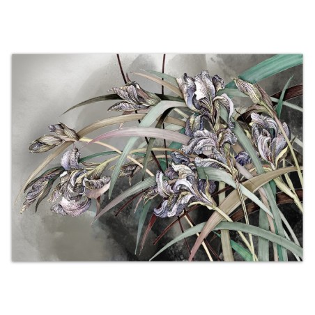 Fototapete - Irises Blumen Blumenstrauß Natur Pflanzen Lila | Feeby