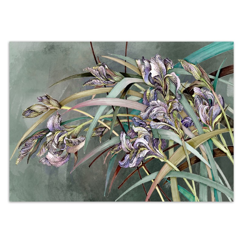 Fototapete - Iris Blumen im Wind | Feeby