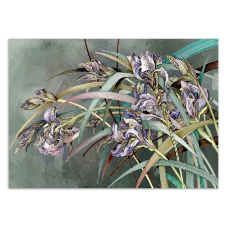 Fototapete - Iris Blumen im Wind | Feeby