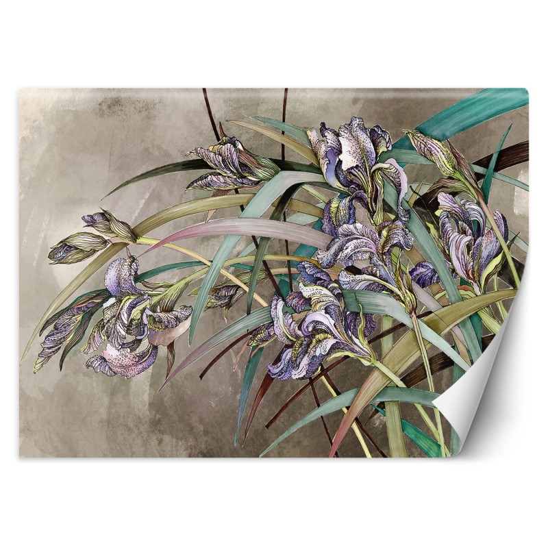 Fototapete - Iris Blumen Betonoptik Struktur | Feeby