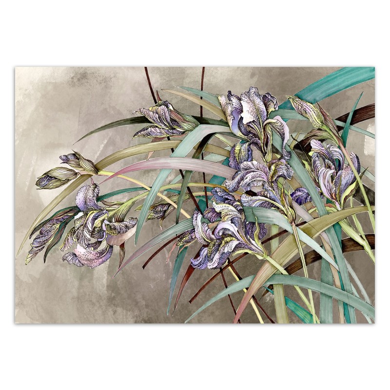 Fototapete - Iris Blumen Betonoptik Struktur | Feeby