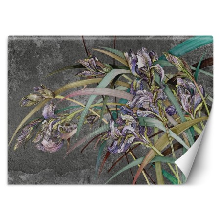 Moderne Fototapete - Iris Blumen Lila Pflanzen | Feeby