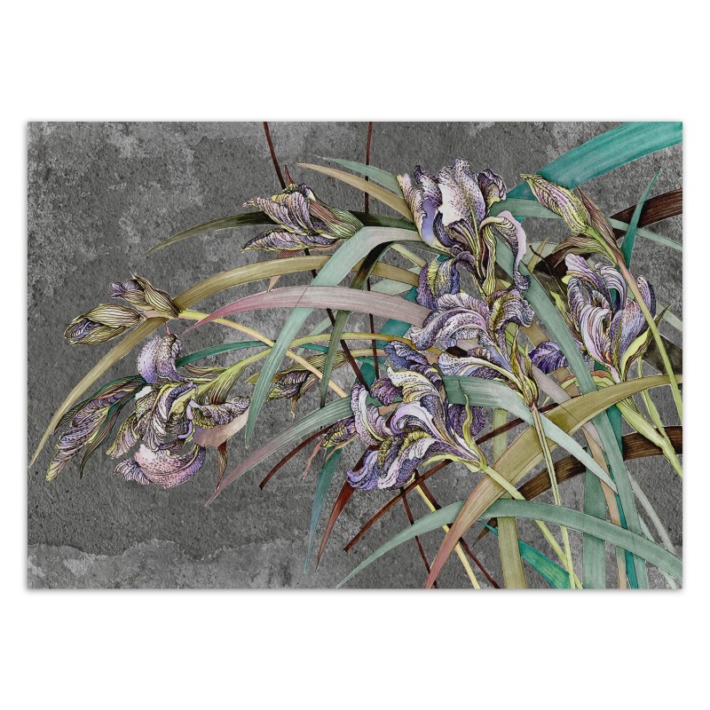 Moderne Fototapete - Iris Blumen Lila Pflanzen | Feeby