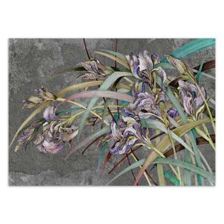 Moderne Fototapete - Iris Blumen Lila Pflanzen | Feeby