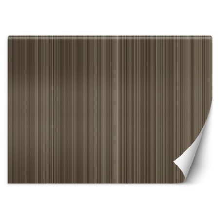 Modische Fototapete - Linien Abstrakt Textur | Feeby