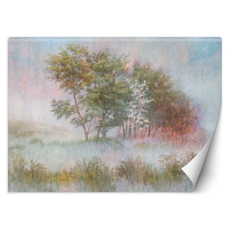 Fototapete - Bäume auf einer nebligen Wiese | Feeby