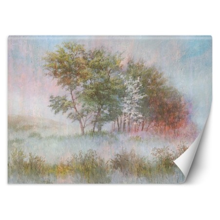 Fototapete - Bäume auf einer nebligen Wiese | Feeby