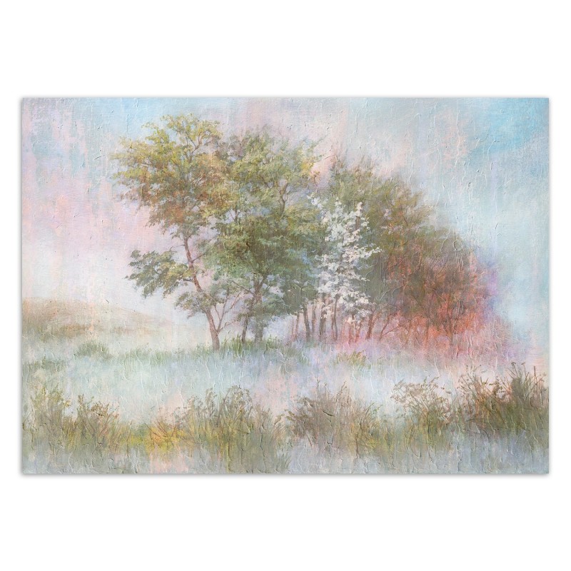 Fototapete - Bäume auf einer nebligen Wiese | Feeby