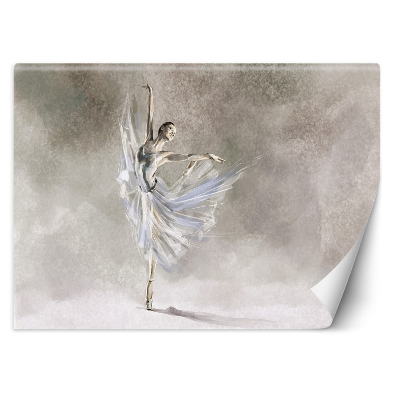 Stilvolle Fototapete - Ballett Ballerina Beton Grau | Feeby