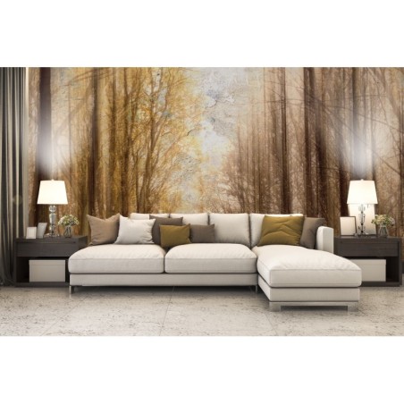 Stilvolle Fototapete - Wald Herbst Bäume Natur Braun | Feeby