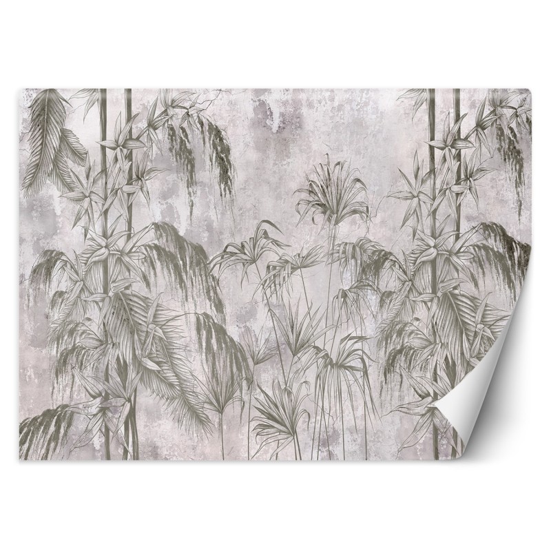 Fototapete - Dschungel Beton Schwarz-Weiß-Pflanzen | Feeby