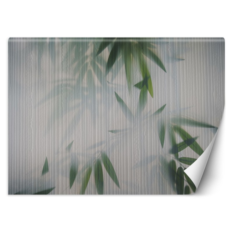 Fototapete - Laub Grün Nebel Natur | Feeby