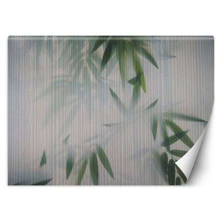 Fototapete - Laub Grün Nebel Natur | Feeby