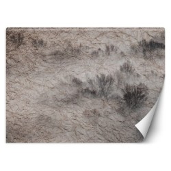 Stilvolle Fototapete - Wiese Nebel Bäume Dunkel | Feeby