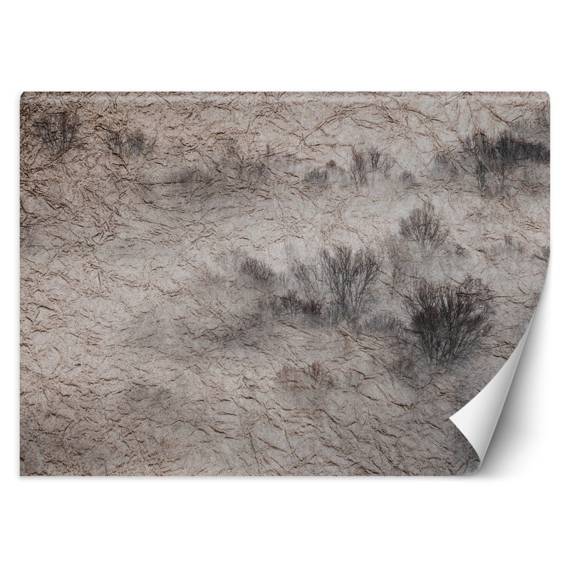 Stilvolle Fototapete - Wiese Nebel Bäume Dunkel | Feeby