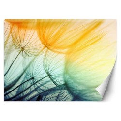 Modische Fototapete - Bunte Pusteblume Abstrakt | Feeby